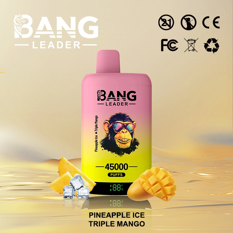 Bang Leader 45000 03 12 vape flavor design with device artwork and matching product packaging.