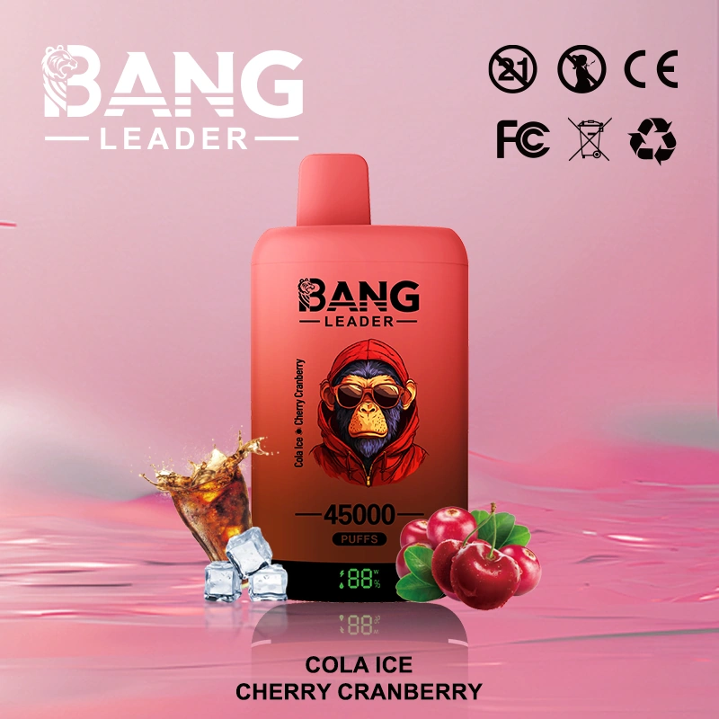 Bang Leader 45000 04 11 vape flavor design with device artwork and matching product packaging.