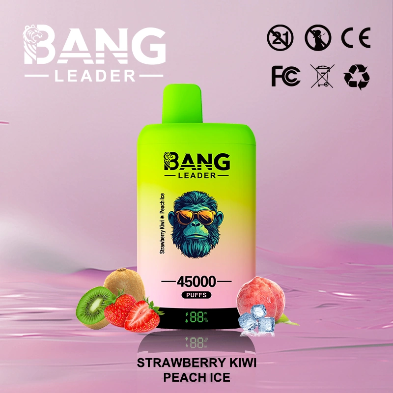 Bang Leader 45000 06 9 vape flavor design with device artwork and matching product packaging.