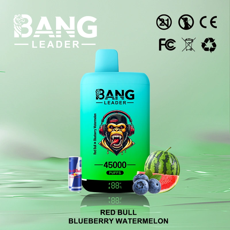 Bang Leader 45000 09 6 vape flavor design with device artwork and matching product packaging.