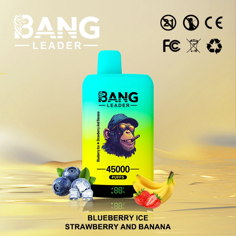 Bang Leader 45000 10 5 vape flavor design with device artwork and matching product packaging.