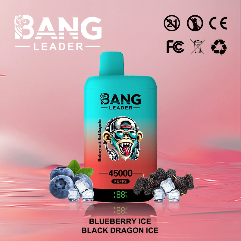 Bang Leader 45000 11 4 vape flavor design with device artwork and matching product packaging.