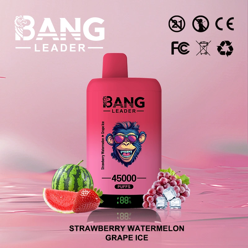 Bang Leader 45000 12 3 vape flavor design with device artwork and matching product packaging.