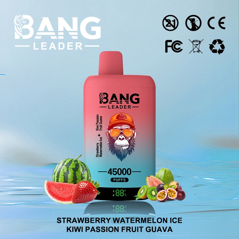 Bang Leader 45000 13 2 vape flavor design with device artwork and matching product packaging.