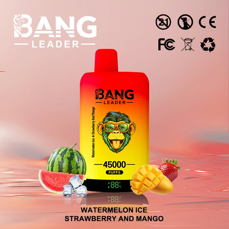 Bang Leader 45000 14 1 vape flavor design with device artwork and matching product packaging.