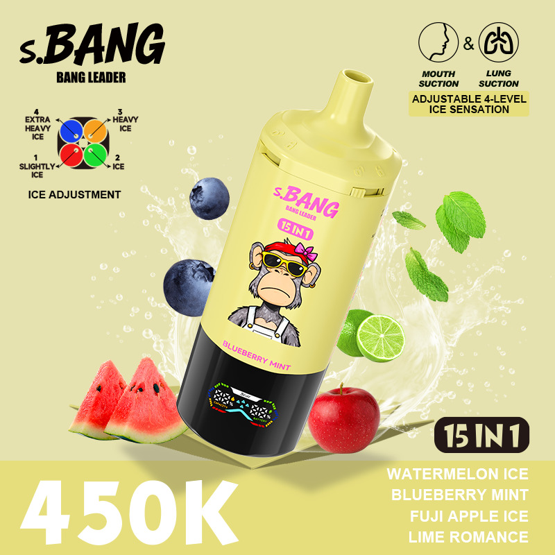 Bang Leader 450K Disposable Vape – 15-in-1 Flavors 450,000 Puffs - 图片 7