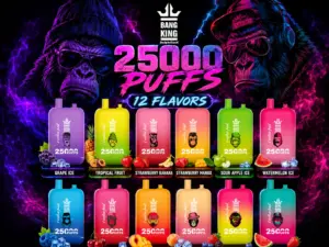 Bang King 25K Vape Watermelon Ice Type-C rechargeable disposable vape with dual pods and up to 25,000 puffs