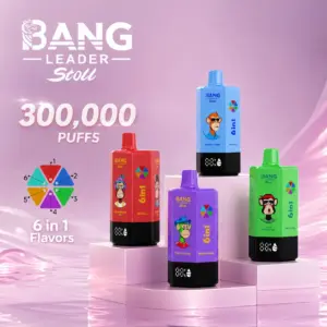Bang Leader Stoll 300K Disposable Vape with 6-in-1 Flavors, 300000 Puffs, Digital Display and Multi Flavor Vape Design