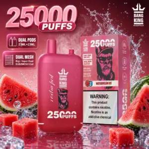 Bang King 25K Vape Watermelon Ice Type-C rechargeable disposable vape with dual pods and up to 25,000 puffs