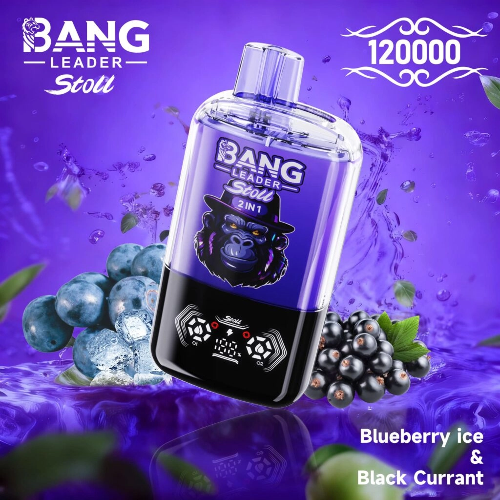 Bang Leader Stoll 120K 120000 Puffs 2-in-1 Double Flavor Disposable Vape – Blue Razz and Love 66