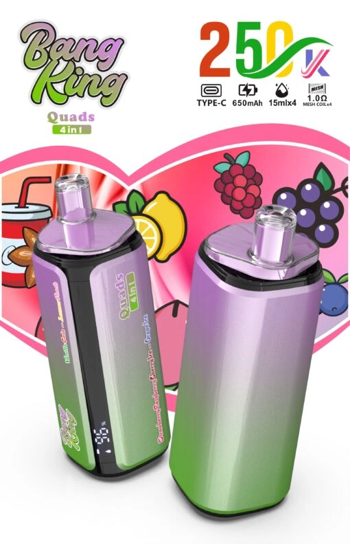 Bang King 250K 4-in-1 disposable vape gallery image 03 showing the product device design