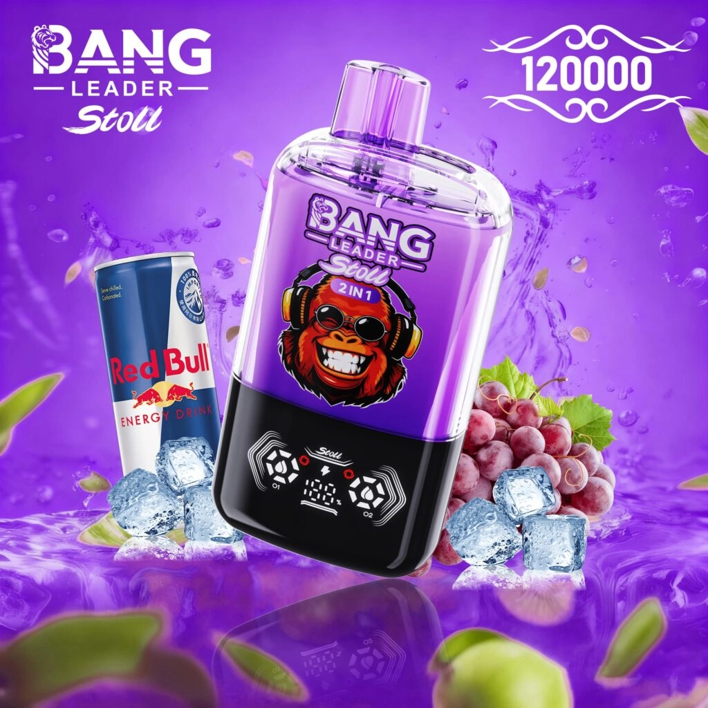 Bang Leader Stoll 120K Rechargeable Disposable Vape – Watermelon Ice and Peach Mango, 2-in-1 Double Flavor