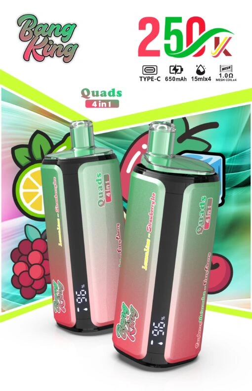 Bang King 250K 4-in-1 disposable vape product image showing the device with matching retail packaging