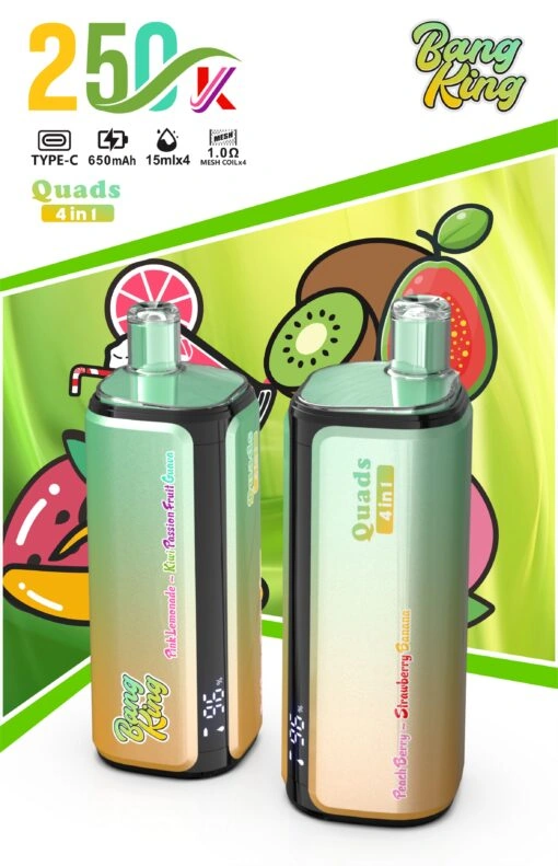 Bang King 250K 4-in-1 disposable vape gallery image 07 showing the product device design