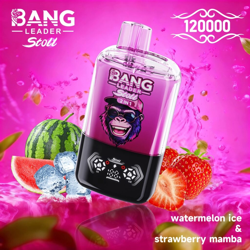Bang Leader Stoll 120K 2-in-1 Disposable Vape – Blueberry Ice and Black Currant, Smart Screen Vape