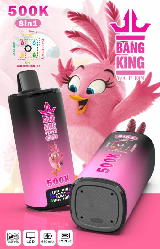 Bang King 500K 8-in-1 high-capacity product image with branded exterior details