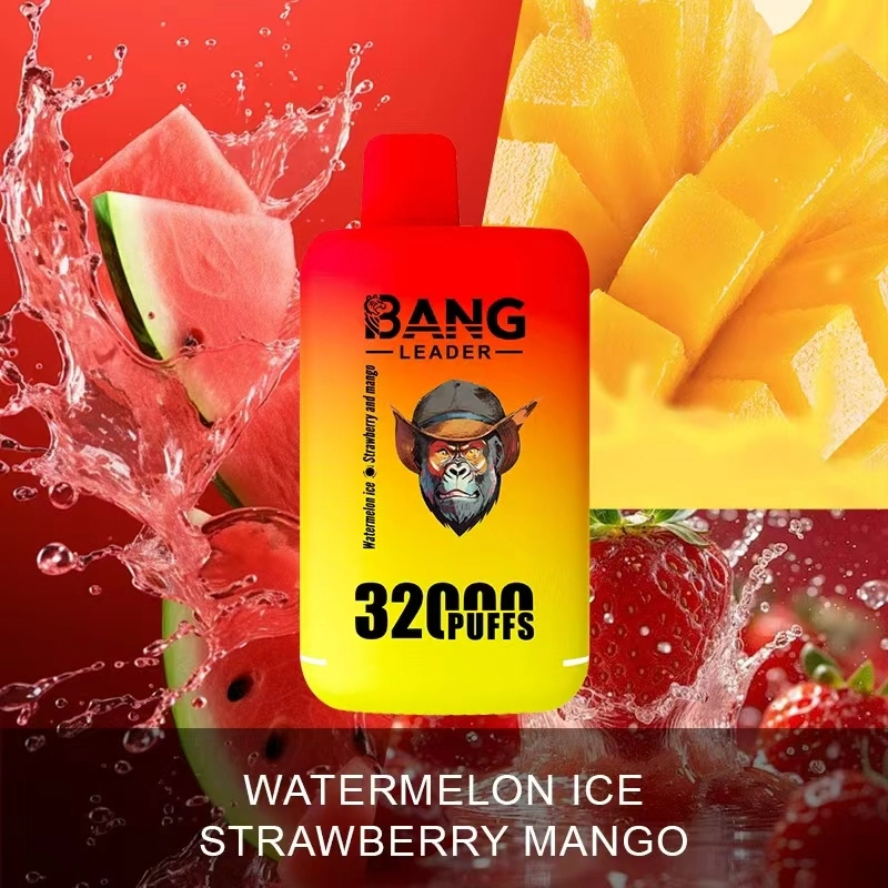 Bang Leader 32K Disposable Vape in Watermelon Ice and Strawberry Mango, shown in a 32000-puff 2-in-1 double-flavor format.