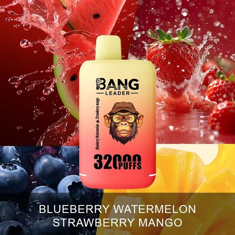 Bang Leader 32K Disposable Vape in Blueberry Watermelon and Strawberry Mango, featuring a 32000-puff dual-flavor disposable design.
