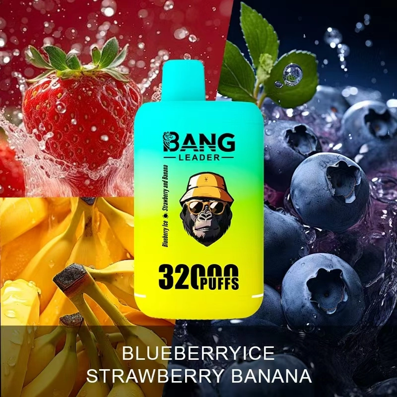 Bang Leader 32K Disposable Vape with Blueberry Ice and Strawberry Banana flavors, displayed in a 32000-puff 2-in-1 double-flavor format.