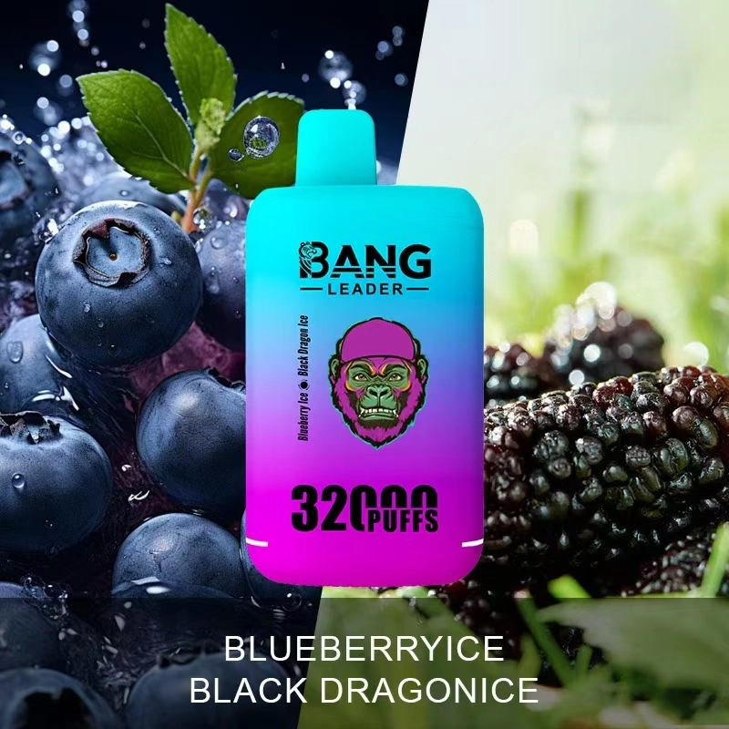 Bang Leader 32K Disposable Vape in Blueberry Ice and Black Dragon Ice, shown with the model’s 32000-puff double-flavor format.