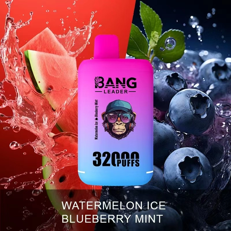 Bang Leader 32K Disposable Vape in Watermelon Ice and Blueberry Mint, featuring a 32000-puff 2-in-1 double-flavor design.