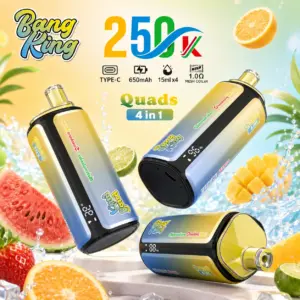 Imagen principal del vaporizador desechable Bang King 250K 4 en 1, en la que se muestra el diseño del dispositivo y su presentación en el punto de venta