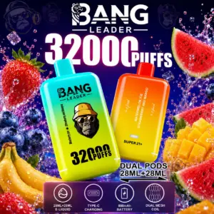 Bang Leader 32K Disposable Vape fruit poster showing 32000 puffs and Watermelon Ice with Strawberry Mango flavor pairing.