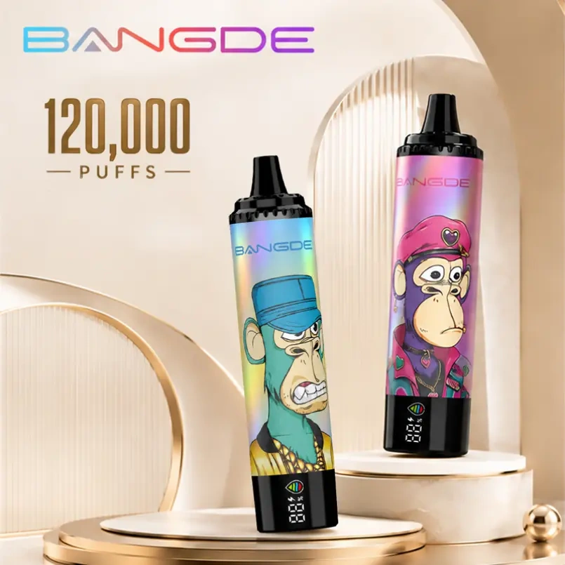Bang DE 120K Puffs disposable vape device pair with a tall digital screen and colorful Bang DE branding on a neutral background