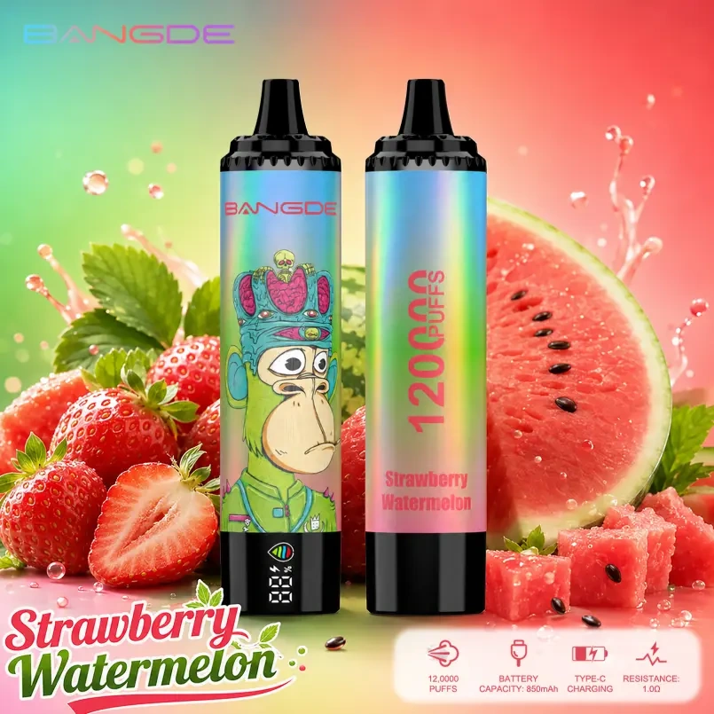 Bang DE 120K Puffs Strawberry Watermelon flavor device pair with strawberry and watermelon graphics and a visible smart screen