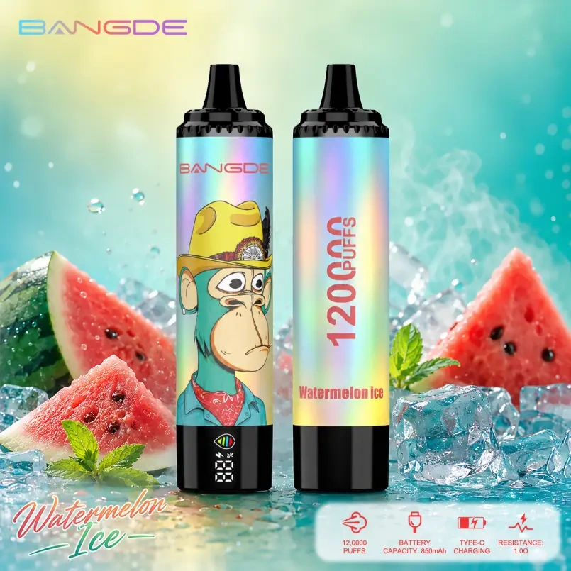 Bang DE 120K Puffs Watermelon Ice flavor device pair with watermelon graphics, icy accents and a visible smart screen