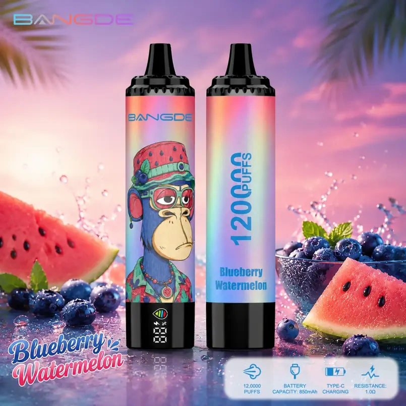 Bang DE 120K Puffs Blueberry Watermelon flavor device pair with blueberry and watermelon graphics and a visible smart screen