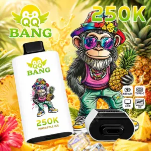 QQ Bang 250K Puffs Disposable Vape featured in a branded product display prepared for adult vape retail and wholesale catalog listings.